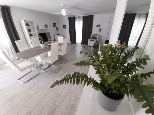 Villa Blanca - Fitness House