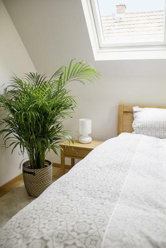 Apartamento Spelzenhof - Ferienwohnung Im Obergeschoss