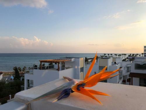 Marina View Villa 11