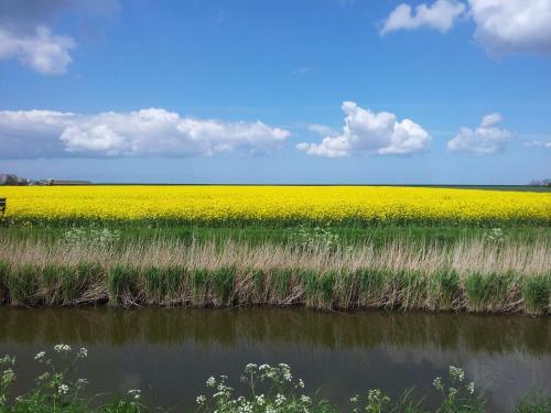 Bed & Breakfast Landgoed Wilgenheerd