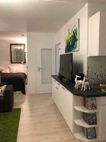 Apartamento Harzer Oase