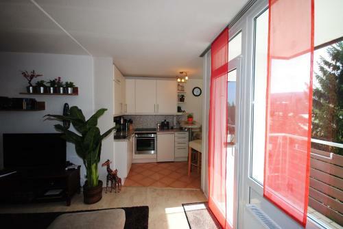 Apartamento Fewo Altenau