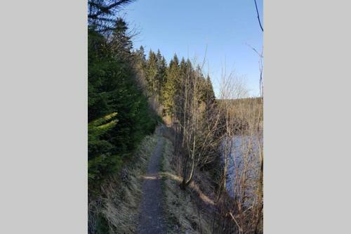 Apartamento Altenauer Waldfrische