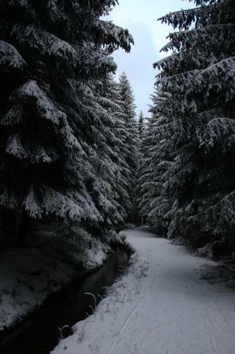 Kurpark Domizil