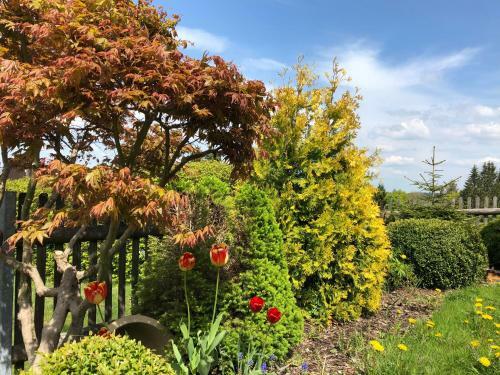 Apartamento Villa Marie Ferienwohnungen