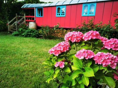 Bed & Breakfast La Maison Des Oiseaux. Roulotte