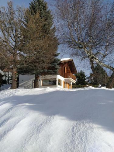 Chalet Bissetrot