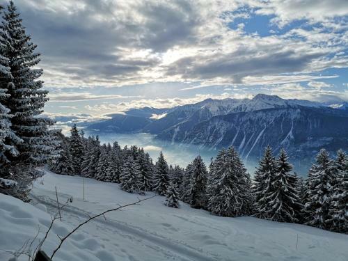 Apartment 42 Crans