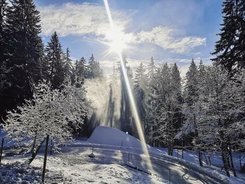 Apartamento Appartement 32 Crans-montana