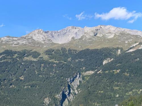 Apartamento La Jacinthe De Crans