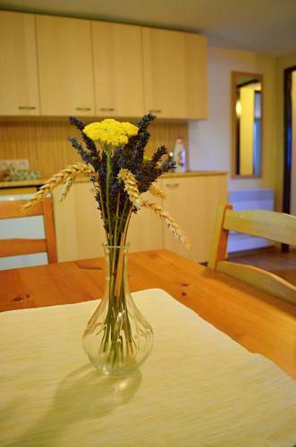 Apartamento Vina?stv� Koliba