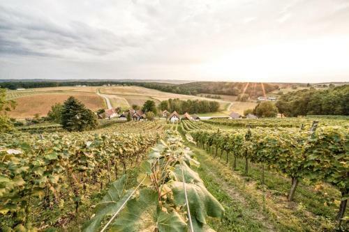 Wiener�s Kellerst�ckl