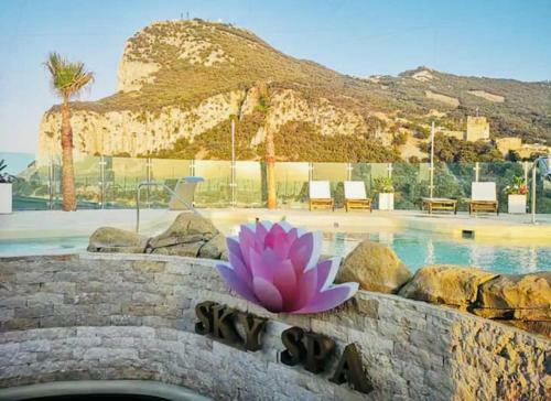Luxury Ocean Spa Plaza Private Large 1 Bed Apartment