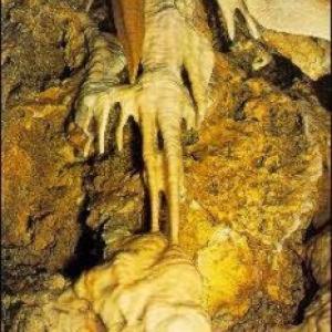 Vakantiehuis Cerny Dul 38