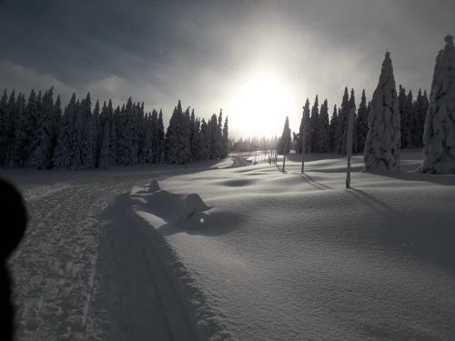 Apartm�ny Rychta?�kovi