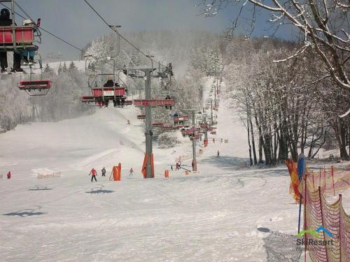 Vakantiehuis Cerny Dul 259