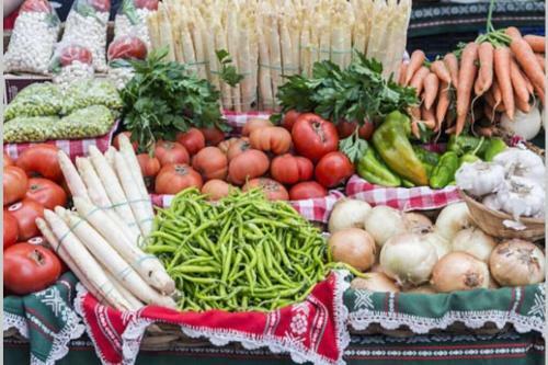 Zurriola Beachfront Luxury Apartment