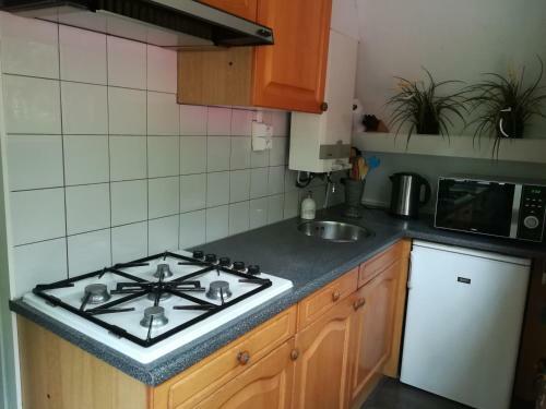 Chalet In De Ardense Bossen