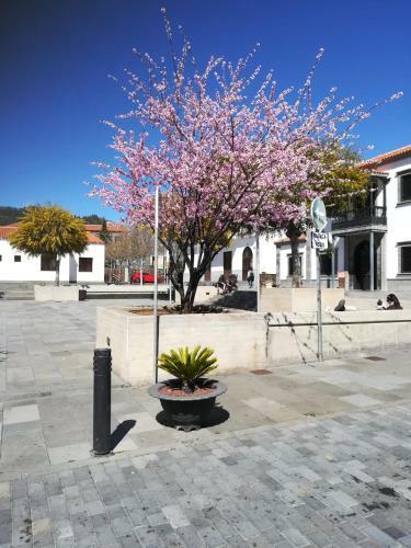 Villa Casita Aromas Del Patio