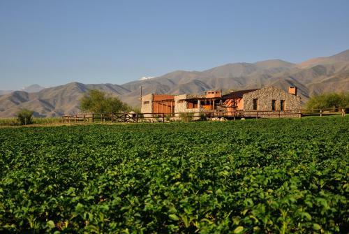 Hotel Estancia La Alejandra
