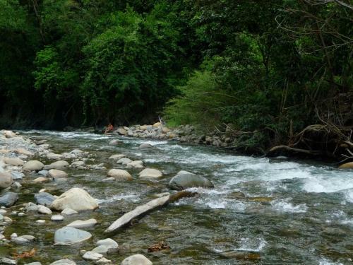 Agroturismo Casa de Campo Tarapari Yungas