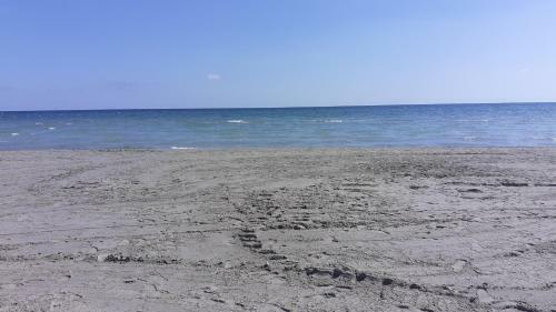 Apartamento Vacaciones En Playa Del Tamarit