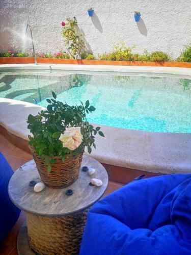 Family Villa With Private Pool