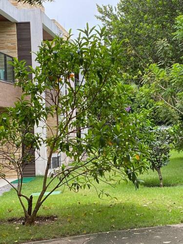 Apartamento Iloa Resort Residence