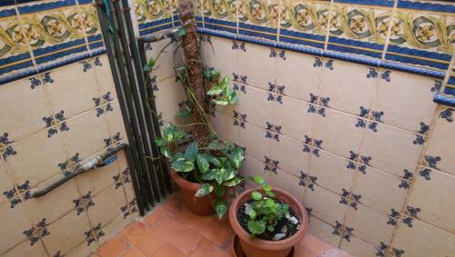 Apartamento San Antonio