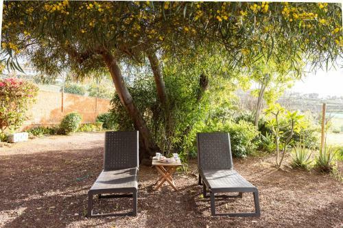 Home2book Amazing Teide View & Terrace