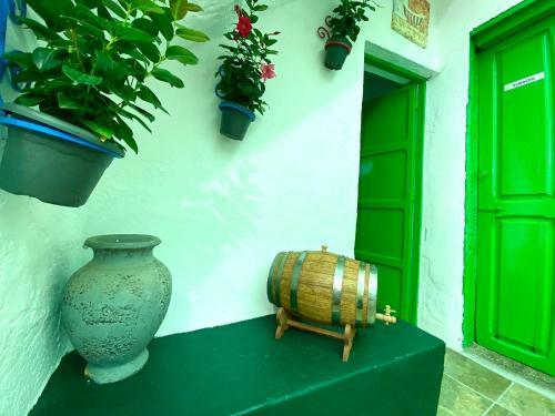 Casa Canaria El Terraje