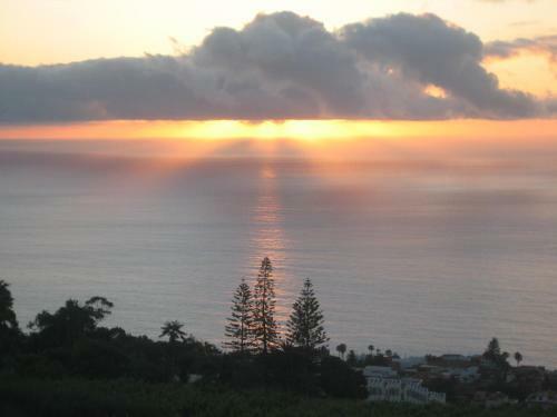 Apartamento C�modo Estudio En El Norte de Tenerife