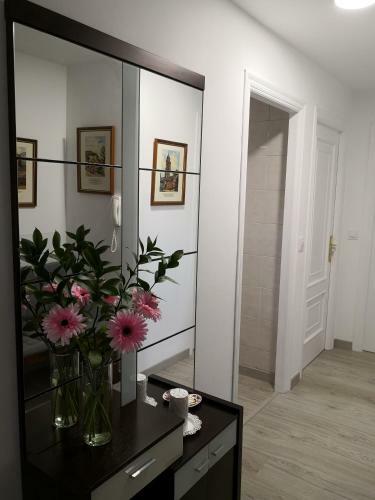 Apartamento A Barciela (Camino Ingles)