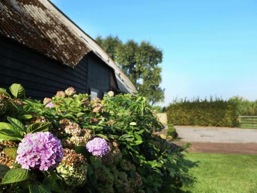 Agroturismo Spacious Farmhouse In Eede With Private Terrace