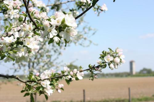 Bed & Breakfast De Nachtdijk