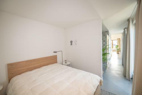 Trendy Apartments As Base To Discover Ghent