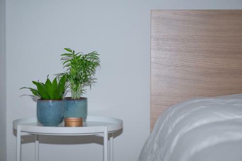 Trendy Apartments As Base To Discover Ghent