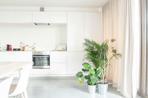 Trendy Apartments As Base To Discover Ghent