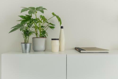 Trendy Apartments As Base To Discover Ghent