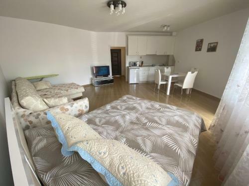 Apartments In Complex Raduga