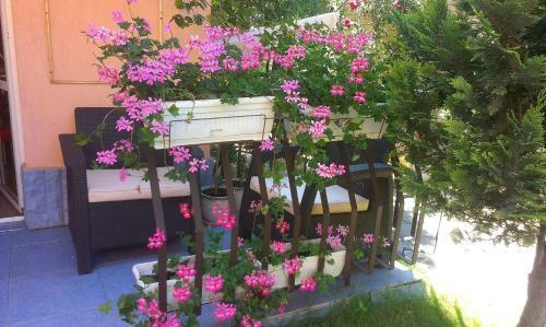 Hostal Guest House Ivy