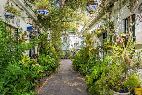 Apartamento Misterhost Triana Patio de Las Flores