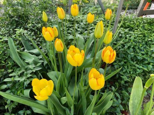 Apartamento Casa Marlies