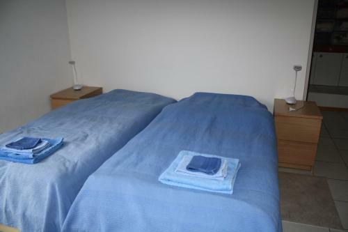 Hostal Ergomotion Losone Michio