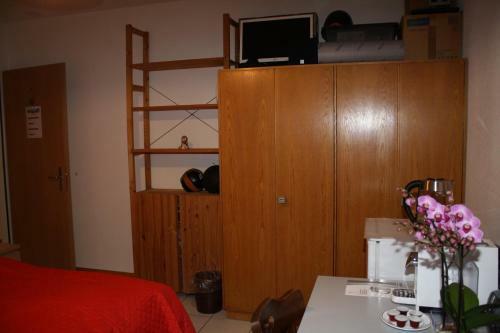 Hostal Ergomotion Losone Michio