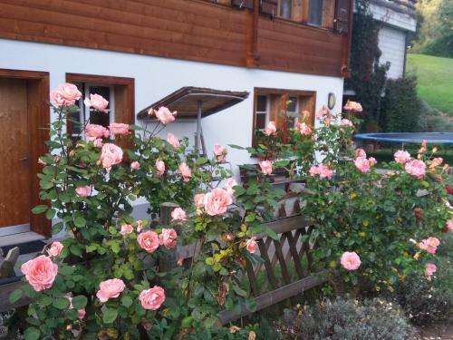 Apartamento Chalet Uf Em Stutz 2