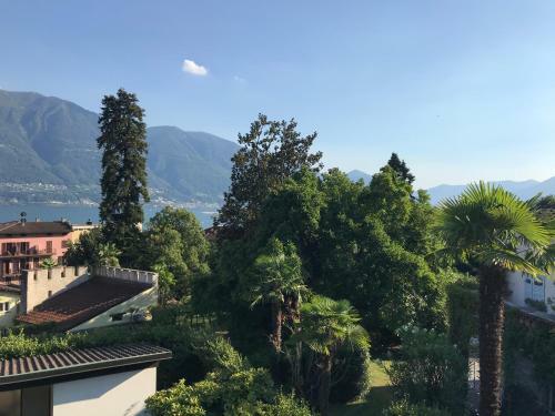 Apartamento Muralto-locarno: Miramonti Apt. 17