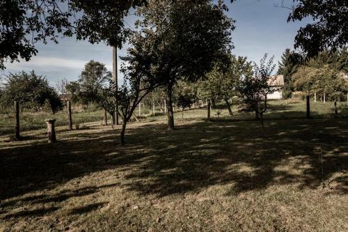 Apartamento Szofi Porta