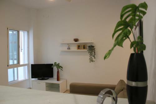 Apartamento Alfaqueque