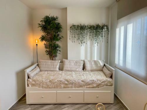 Apartamento Eucalipto